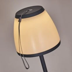 Hofstein Abuya Außenstehleuchte LED Anthrazit, 1-flammig -LED Leuchten Verkäufe 2022 abuya aussenstehleuchte h3394328 12