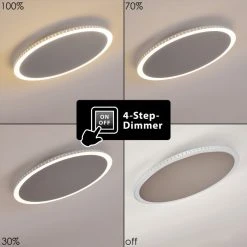 Hofstein Aitrach Deckenleuchte LED Silber, Weiß, 1-flammig -LED Leuchten Verkäufe 2022 aitrach deckenleuchte h3307465 3