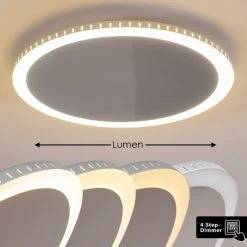 Hofstein Aitrach Deckenleuchte LED Silber, Weiß, 1-flammig