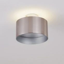 Hofstein Baraboo Deckenleuchte LED Nickel-Matt, 2-flammig -LED Leuchten Verkäufe 2022 baraboo deckenleuchte h3306956 10