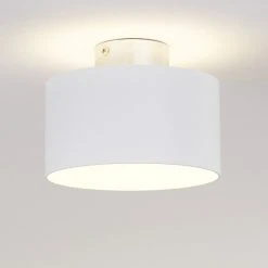 Hofstein Baraboo Deckenleuchte LED Nickel-Matt, 2-flammig -LED Leuchten Verkäufe 2022 baraboo deckenleuchte h3306970 14