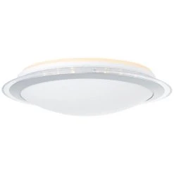 Brilliant Leuchten Brilliant Dinos Deckenleuchte LED Silber, 1-flammig, Fernbedienung, Farbwechsler -LED Leuchten Verkäufe 2022 brilliant dinos deckenleuchte g97040 58 21