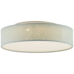 Brilliant Leuchten Baska Deckenleuchte LED Silber, 1-flammig -LED Leuchten Verkäufe 2022 brilliant leuchten baska deckenleuchte g99650 04 2