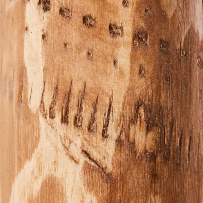 Brilliant Leuchten Brilliant Odun Stehleuchte LED Schwarz, Holz hell, 1-flammig 3 Brilliant Leuchten Brilliant Odun Stehleuchte LED Schwarz, Holz hell, 1-flammig – Bild 3