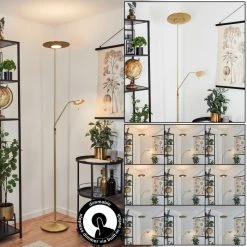 Hofstein Confluencia Deckenfluter LED Messing, 2-flammig