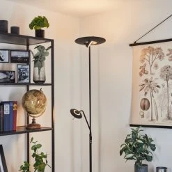 Hofstein Confluencia Deckenfluter LED Schwarz, 2-flammig -LED Leuchten Verkäufe 2022 confluencia deckenfluter h3590263 6