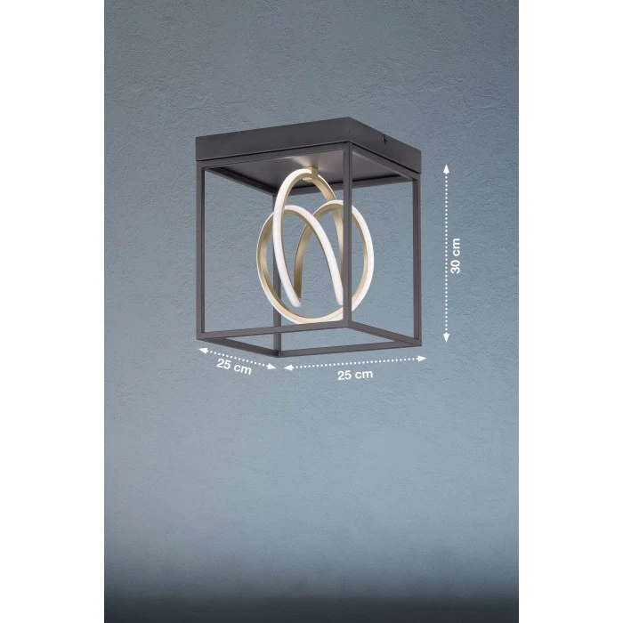 Honsel Leuchten Fischer & Honsel Gisi Deckenleuchte LED Schwarz, 1-flammig, Fernbedienung 3 Honsel Leuchten Fischer & Honsel Gisi Deckenleuchte LED Schwarz, 1-flammig, Fernbedienung – Bild 3