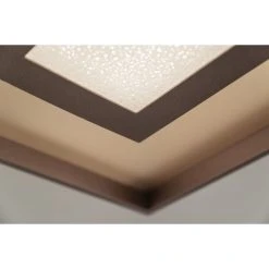 Fischer & Honsel Leuchten Bug Deckenleuchte LED Rostfarben, Gold, 1-flammig, Fernbedienung 11 Fischer & Honsel Leuchten Bug Deckenleuchte LED Rostfarben, Gold, 1-flammig, Fernbedienung -LED Leuchten Verkäufe 2022 fischer honsel leuchten bug deckenleuchte 20639 4