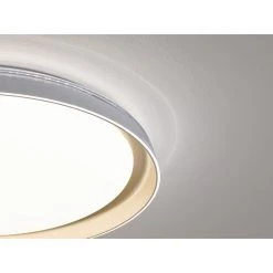 Honsel Leuchten Fischer & Honsel Rilla Deckenleuchte LED Gold, Champagner, 1-flammig 9 Honsel Leuchten Fischer & Honsel Rilla Deckenleuchte LED Gold, Champagner, 1-flammig -LED Leuchten Verkäufe 2022 fischer honsel rilla deckenleuchte 200953 4