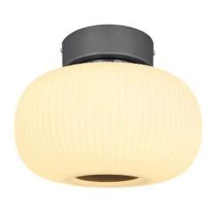 Globo BOOMER Deckenleuchte LED Nickel-Matt, Anthrazit, 1-flammig