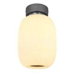 Globo BOOMER Deckenleuchte LED Nickel-Matt, Anthrazit, 1-flammig