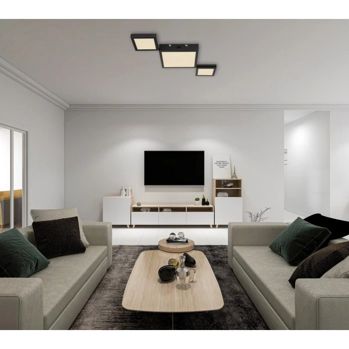 Globo BURKHARD Deckenleuchte LED Schwarz, 1-flammig 1 Globo BURKHARD Deckenleuchte LED Schwarz, 1-flammig