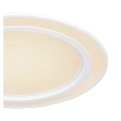 Globo DAHLA Deckenleuchte LED Weiß, 1-flammig, Farbwechsler 16 Globo DAHLA Deckenleuchte LED Weiß, 1-flammig, Farbwechsler -LED Leuchten Verkäufe 2022 globo dahla deckenleuchte 48549 35 3