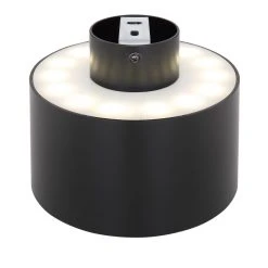 Globo JENNY Deckenleuchte LED Schwarz, 1-flammig 9 Globo JENNY Deckenleuchte LED Schwarz, 1-flammig -LED Leuchten Verkäufe 2022 globo jenny deckenleuchte 12016b 3