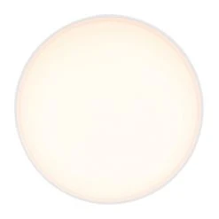 Globo JENNY Deckenleuchte LED Nickel-Matt, 1-flammig -LED Leuchten Verkäufe 2022 globo jenny deckenleuchte 12016n 3