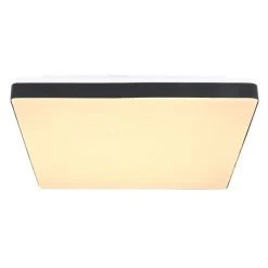 Globo RAINA Deckenpanel LED Schwarz, Weiß, 1-flammig 7 Globo RAINA Deckenpanel LED Schwarz, Weiß, 1-flammig -LED Leuchten Verkäufe 2022 globo raina deckenpanel 48296b 2