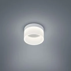 Helestra Liv Deckenleuchte LED Grau, 1-flammig