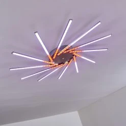 Hofstein Kinna Deckenleuchte LED Edelstahl, 12-flammig, Fernbedienung, Farbwechsler -LED Leuchten Verkäufe 2022 kinna deckenleuchte h3273890 21