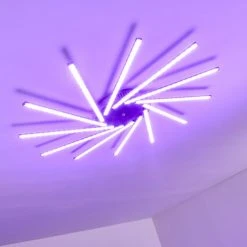 Hofstein Kinna Deckenleuchte LED Edelstahl, 12-flammig, Fernbedienung, Farbwechsler -LED Leuchten Verkäufe 2022 kinna deckenleuchte h3273890 6