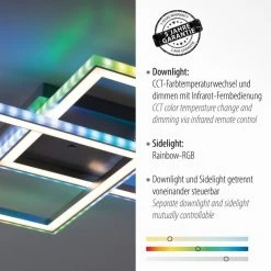 Leuchten Direkt FELIX60 Deckenleuchte LED Stahl gebürstet, 1-flammig, Fernbedienung, Farbwechsler -LED Leuchten Verkäufe 2022 leuchten direkt felix60 deckenleuchte 14634 55 2