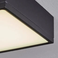 Hofstein Netstal Deckenleuchte LED Anthrazit, 1-flammig -LED Leuchten Verkäufe 2022 netstal deckenleuchte h3550229 5