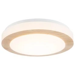 Nino Leuchten GORDON Deckenleuchte LED Weiß, 1-flammig