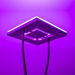 Hofstein Notigi Deckenfluter LED Nickel-Matt, 2-flammig, Fernbedienung, Farbwechsler -LED Leuchten Verkäufe 2022 notigi deckenfluter h000632 22