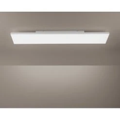 Paul Neuhaus Leuchten Paul Neuhaus FRAMELESS Deckenleuchte LED Wei&szlig;, 1-flammig, Fernbedienung -LED Leuchten Verkäufe 2022 paul neuhaus frameless deckenleuchte 8494 16 5