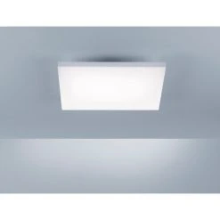 Paul Neuhaus Leuchten Paul Neuhaus FRAMELESS LED Panel Wei&szlig;, 1-flammig, Fernbedienung -LED Leuchten Verkäufe 2022 paul neuhaus frameless led panel 8491 16 5