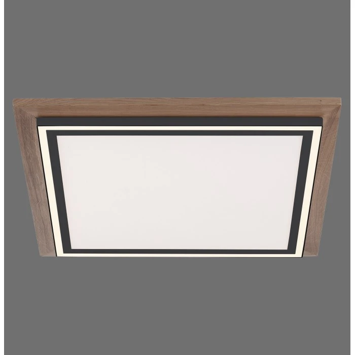 Paul Neuhaus Leuchten Paul Neuhaus PALMA Deckenleuchte LED Schwarz, Naturfarben, 2-flammig, Fernbedienung 9 Paul Neuhaus Leuchten Paul Neuhaus PALMA Deckenleuchte LED Schwarz, Naturfarben, 2-flammig, Fernbedienung – Bild 9