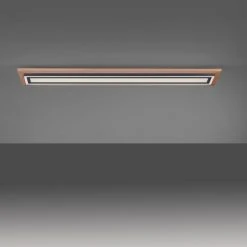 Paul Neuhaus Leuchten Paul Neuhaus PALMA Deckenleuchte LED Schwarz, Naturfarben, 2-flammig, Fernbedienung -LED Leuchten Verkäufe 2022 paul neuhaus palma deckenleuchte 6142 79 3