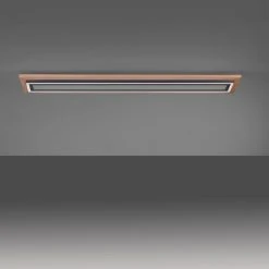 Paul Neuhaus Leuchten Paul Neuhaus PALMA Deckenleuchte LED Schwarz, Naturfarben, 2-flammig, Fernbedienung -LED Leuchten Verkäufe 2022 paul neuhaus palma deckenleuchte 6142 79 4