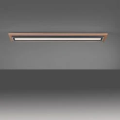 Paul Neuhaus Leuchten Paul Neuhaus PALMA Deckenleuchte LED Schwarz, Naturfarben, 2-flammig, Fernbedienung -LED Leuchten Verkäufe 2022 paul neuhaus palma deckenleuchte 6142 79 5