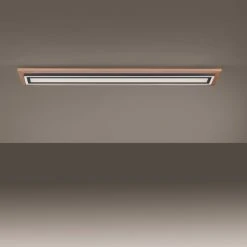 Paul Neuhaus Leuchten Paul Neuhaus PALMA Deckenleuchte LED Schwarz, Naturfarben, 2-flammig, Fernbedienung -LED Leuchten Verkäufe 2022 paul neuhaus palma deckenleuchte 6142 79 6