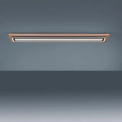 Paul Neuhaus Leuchten Paul Neuhaus PALMA Deckenleuchte LED Schwarz, Naturfarben, 2-flammig, Fernbedienung -LED Leuchten Verkäufe 2022 paul neuhaus palma deckenleuchte 6142 79 8