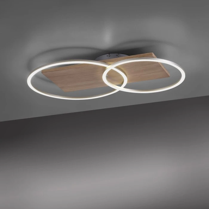 Paul Neuhaus Leuchten Paul Neuhaus PALMA Deckenleuchte LED Stahl gebürstet, Naturfarben, 2-flammig, Fernbedienung 4 Paul Neuhaus Leuchten Paul Neuhaus PALMA Deckenleuchte LED Stahl gebürstet, Naturfarben, 2-flammig, Fernbedienung – Bild 4