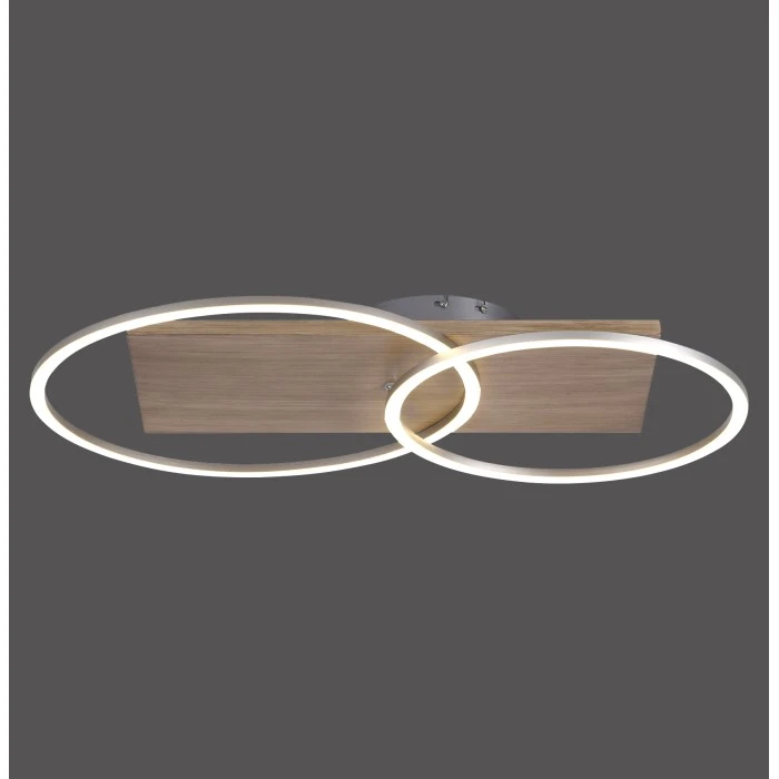 Paul Neuhaus Leuchten Paul Neuhaus PALMA Deckenleuchte LED Stahl gebürstet, Naturfarben, 2-flammig, Fernbedienung 10 Paul Neuhaus Leuchten Paul Neuhaus PALMA Deckenleuchte LED Stahl gebürstet, Naturfarben, 2-flammig, Fernbedienung – Bild 10