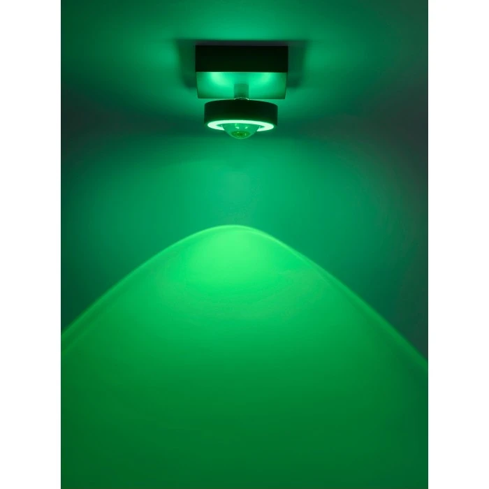 Paul Neuhaus Q-Serie Paul Neuhaus Q-MIA Deckenleuchte LED Anthrazit, 1-flammig, Fernbedienung 16 Paul Neuhaus Q-Serie Paul Neuhaus Q-MIA Deckenleuchte LED Anthrazit, 1-flammig, Fernbedienung – Bild 16