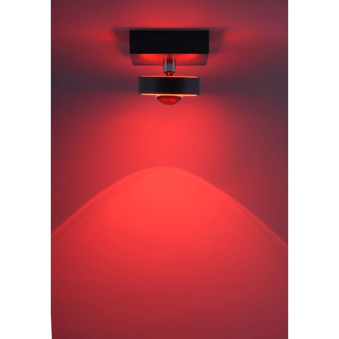 Paul Neuhaus Q-Serie Paul Neuhaus Q-MIA Deckenleuchte LED Anthrazit, 1-flammig, Fernbedienung 17 Paul Neuhaus Q-Serie Paul Neuhaus Q-MIA Deckenleuchte LED Anthrazit, 1-flammig, Fernbedienung – Bild 17