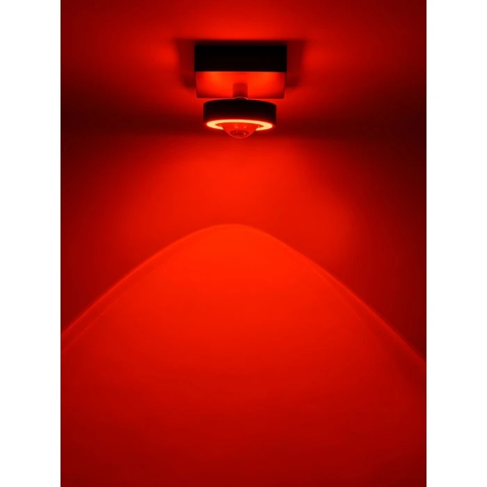 Paul Neuhaus Q-Serie Paul Neuhaus Q-MIA Deckenleuchte LED Anthrazit, 1-flammig, Fernbedienung 18 Paul Neuhaus Q-Serie Paul Neuhaus Q-MIA Deckenleuchte LED Anthrazit, 1-flammig, Fernbedienung – Bild 18