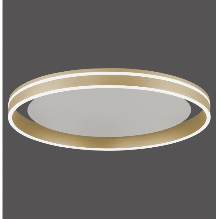 Paul Neuhaus Q-Serie Paul Neuhaus Q-VITO Deckenleuchte LED Messing, 1-flammig, Fernbedienung 11 Paul Neuhaus Q-Serie Paul Neuhaus Q-VITO Deckenleuchte LED Messing, 1-flammig, Fernbedienung – Bild 11