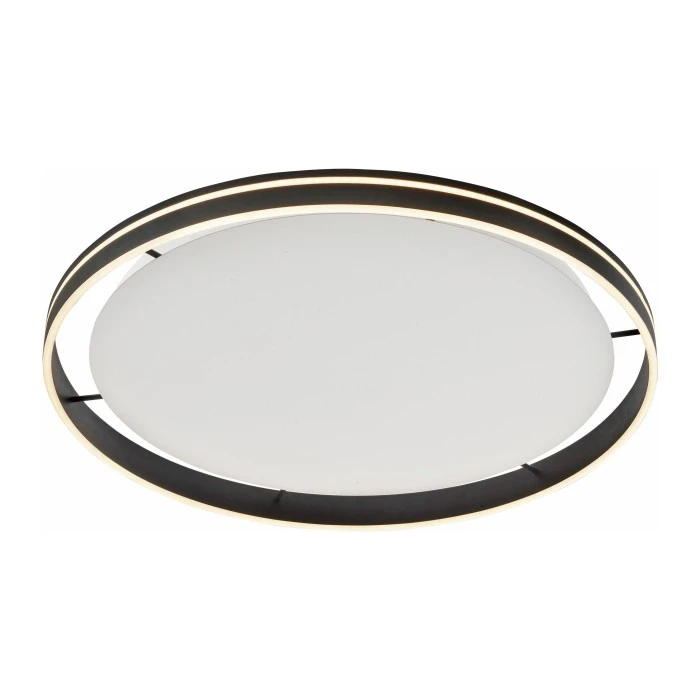 Paul Neuhaus Q-Serie Paul Neuhaus Q-VITO Deckenleuchte LED Anthrazit, 1-flammig, Fernbedienung 3 Paul Neuhaus Q-Serie Paul Neuhaus Q-VITO Deckenleuchte LED Anthrazit, 1-flammig, Fernbedienung – Bild 3