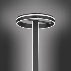 Paul Neuhaus Leuchten Paul Neuhaus Q-VITO Stehleuchte LED Anthrazit, 3-flammig, Fernbedienung 22 Paul Neuhaus Leuchten Paul Neuhaus Q-VITO Stehleuchte LED Anthrazit, 3-flammig, Fernbedienung -LED Leuchten Verkäufe 2022 paul neuhaus q vito stehleuchte 618 13 10