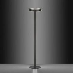 Paul Neuhaus Leuchten Paul Neuhaus Q-VITO Stehleuchte LED Anthrazit, 3-flammig, Fernbedienung 17 Paul Neuhaus Leuchten Paul Neuhaus Q-VITO Stehleuchte LED Anthrazit, 3-flammig, Fernbedienung -LED Leuchten Verkäufe 2022 paul neuhaus q vito stehleuchte 618 13 5