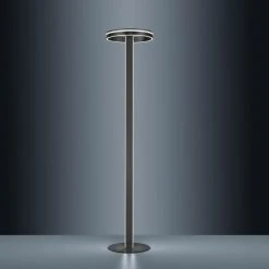 Paul Neuhaus Leuchten Paul Neuhaus Q-VITO Stehleuchte LED Anthrazit, 3-flammig, Fernbedienung 18 Paul Neuhaus Leuchten Paul Neuhaus Q-VITO Stehleuchte LED Anthrazit, 3-flammig, Fernbedienung -LED Leuchten Verkäufe 2022 paul neuhaus q vito stehleuchte 618 13 6