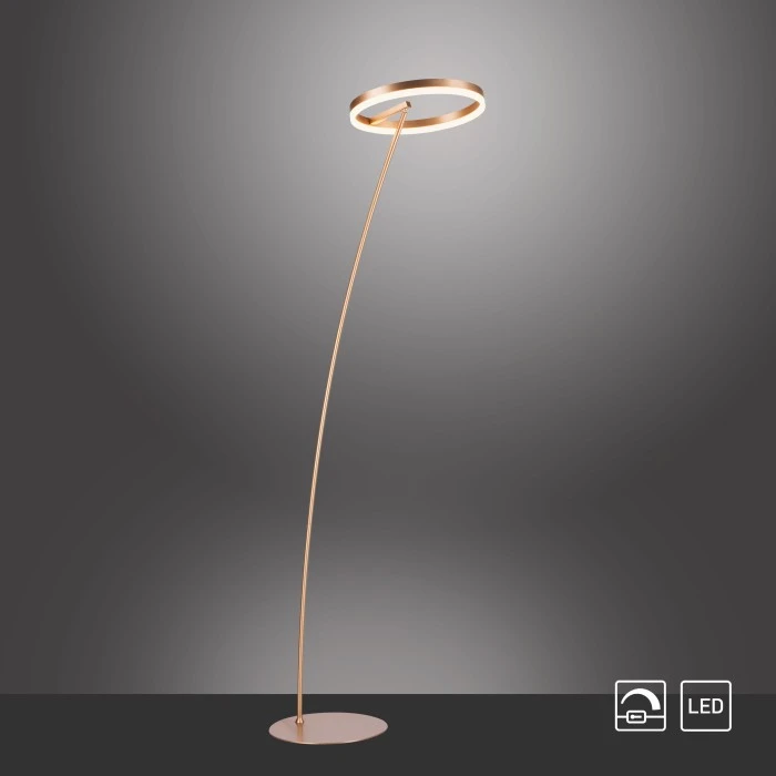 Paul Neuhaus Leuchten Paul Neuhaus TITUS Stehleuchte LED Messing, 1-flammig 10 Paul Neuhaus Leuchten Paul Neuhaus TITUS Stehleuchte LED Messing, 1-flammig – Bild 10