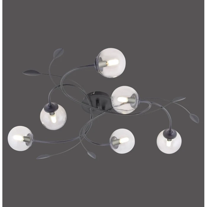 Paul Neuhaus Leuchten Paul Neuhaus WIDOW Deckenleuchte LED Schwarz, 6-flammig 2 Paul Neuhaus Leuchten Paul Neuhaus WIDOW Deckenleuchte LED Schwarz, 6-flammig – Bild 2