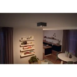 Philips Leuchten Philips Box Deckenleuchte LED Schwarz, 4-flammig -LED Leuchten Verkäufe 2022 philips box deckenleuchte 5049430p0 3