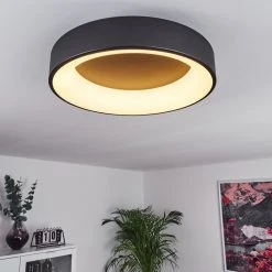 Hofstein Pine Deckenleuchte LED Schwarz, 1-flammig -LED Leuchten Verkäufe 2022 pine deckenleuchte h3417874 10