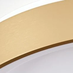 Hofstein Playas Deckenleuchte LED Wei&szlig;, Gold, 1-flammig -LED Leuchten Verkäufe 2022 playas deckenleuchte h3459980 2